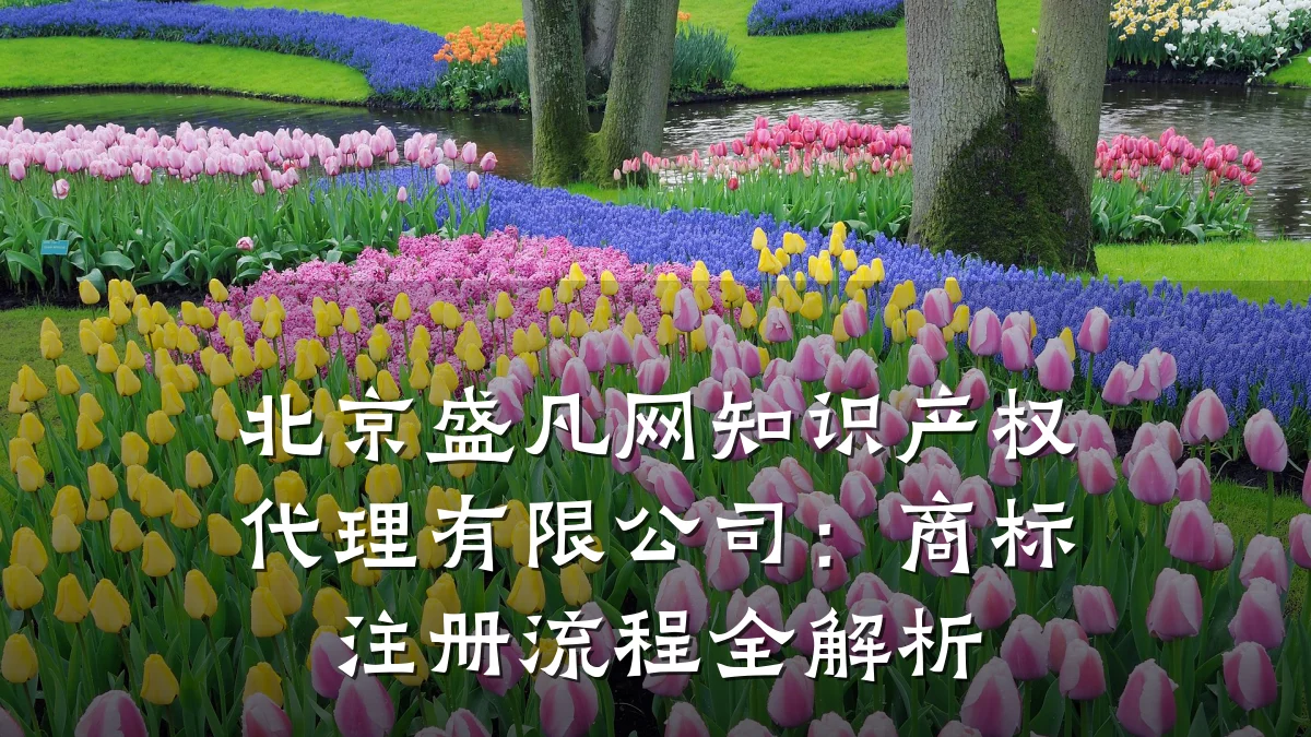 北京盛凡网知识产权代理有限公司:商标注册流程全解析