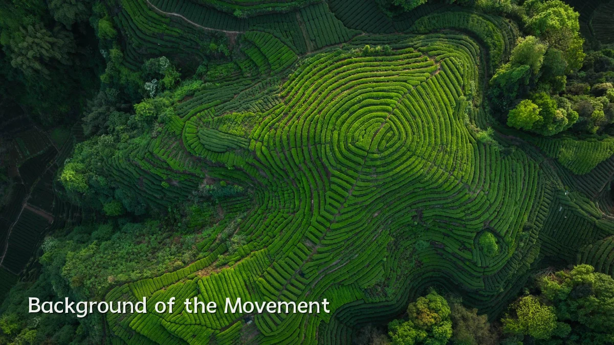 Background of the Movement