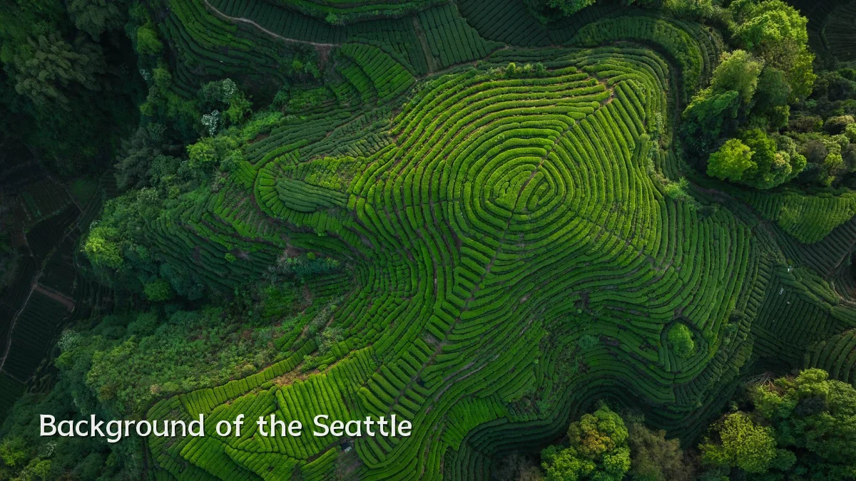 Background of the Seattle