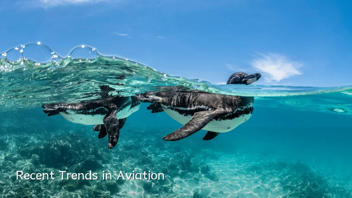 Recent Trends in Aviation