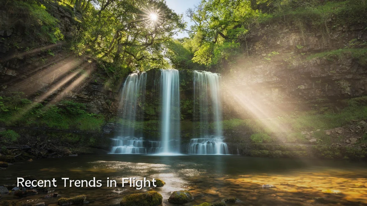 Recent Trends in Flight