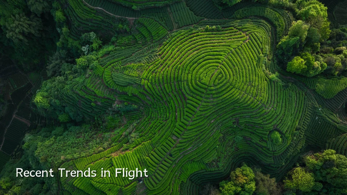 Recent Trends in Flight