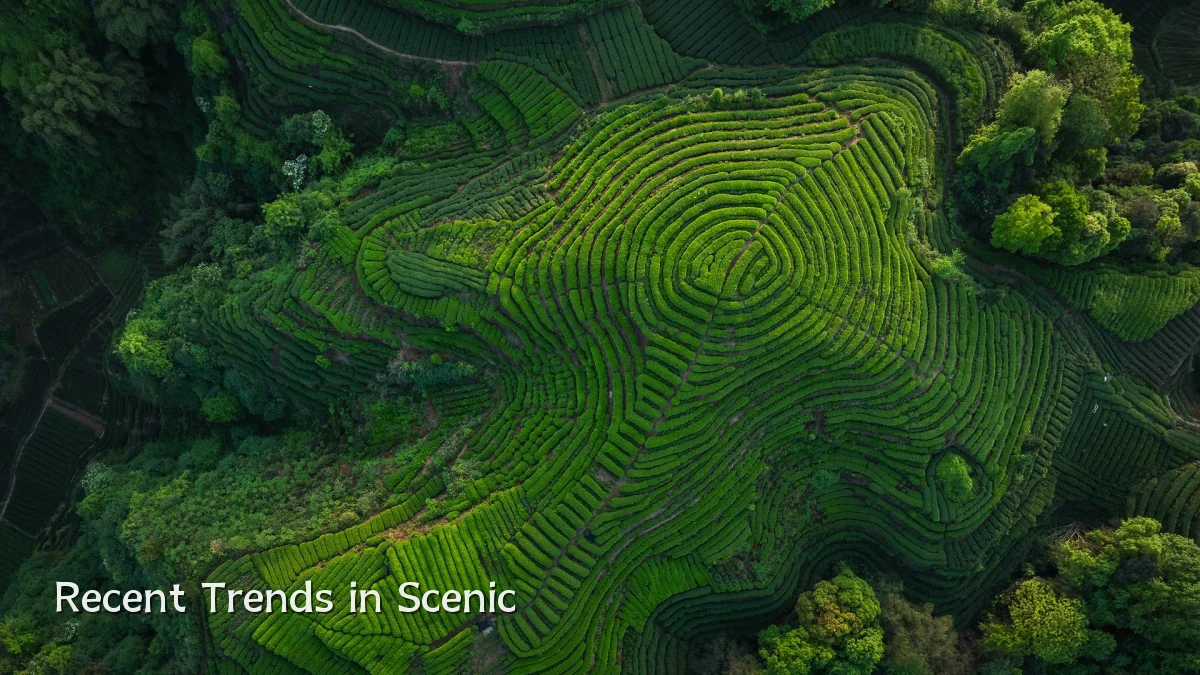 Recent Trends in Scenic
