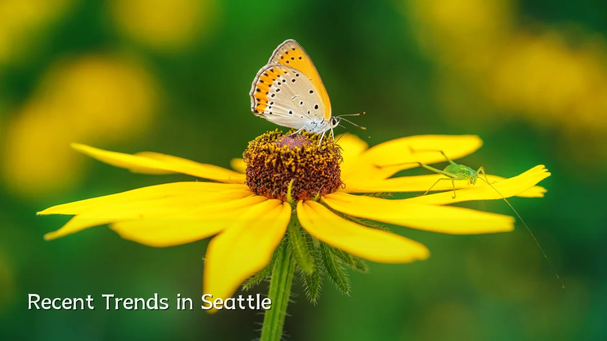 Recent Trends in Seattle