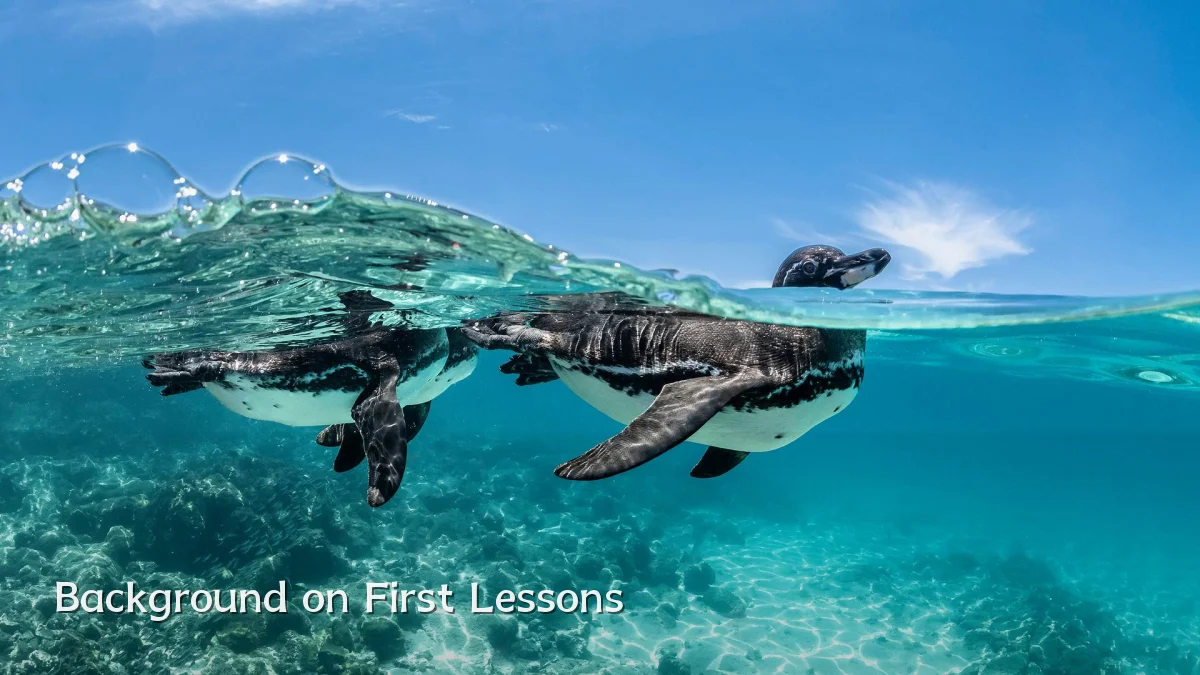 Background on First Lessons