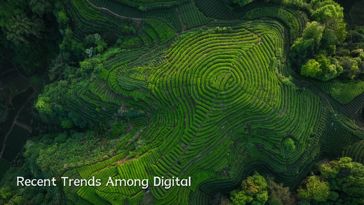 Recent Trends Among Digital