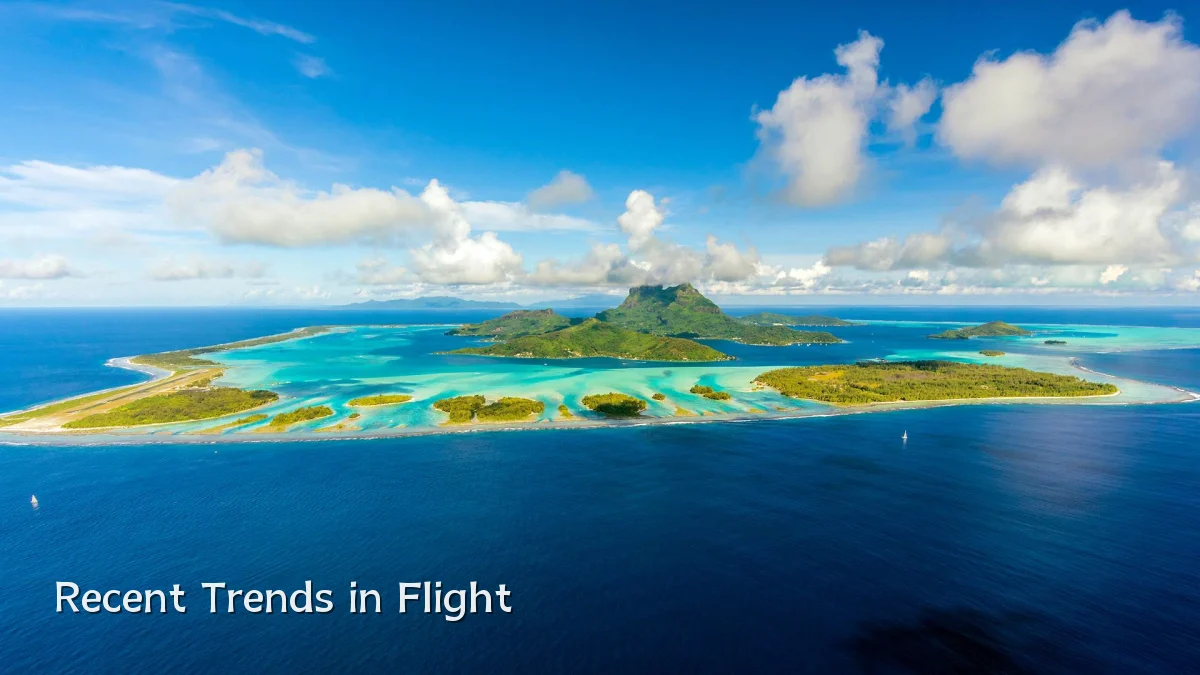 Recent Trends in Flight
