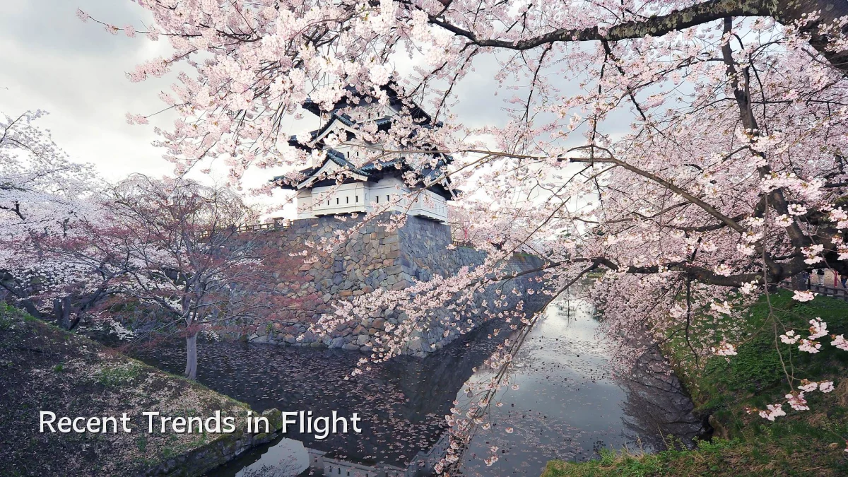 Recent Trends in Flight