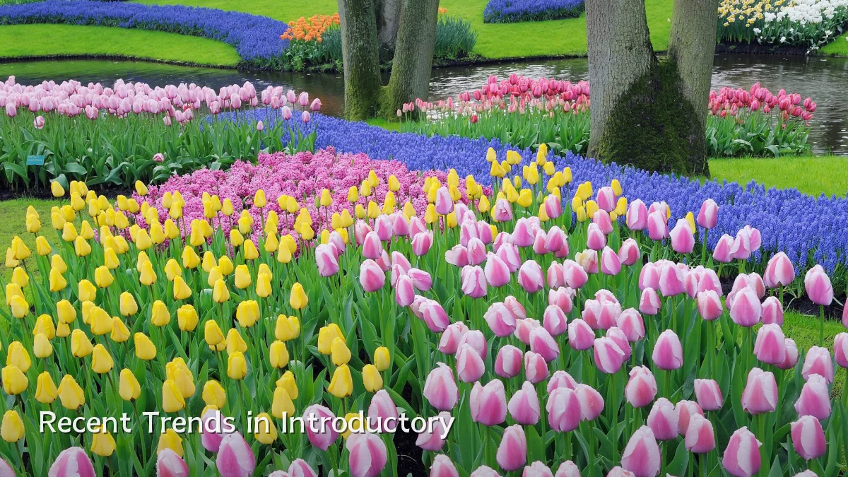Recent Trends in Introductory
