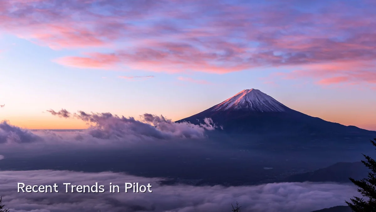 Recent Trends in Pilot