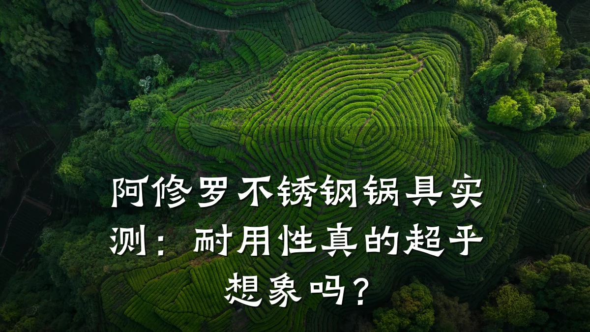 阿修罗不锈钢锅具实测:耐用性真的超乎想象吗?